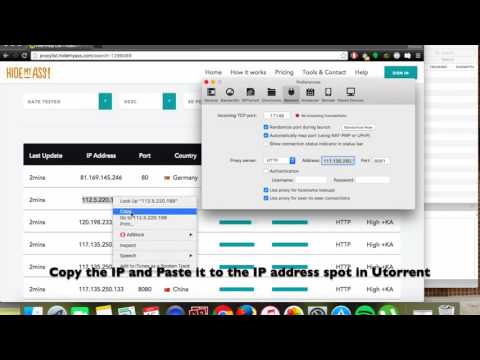download bittorrent through vpn
